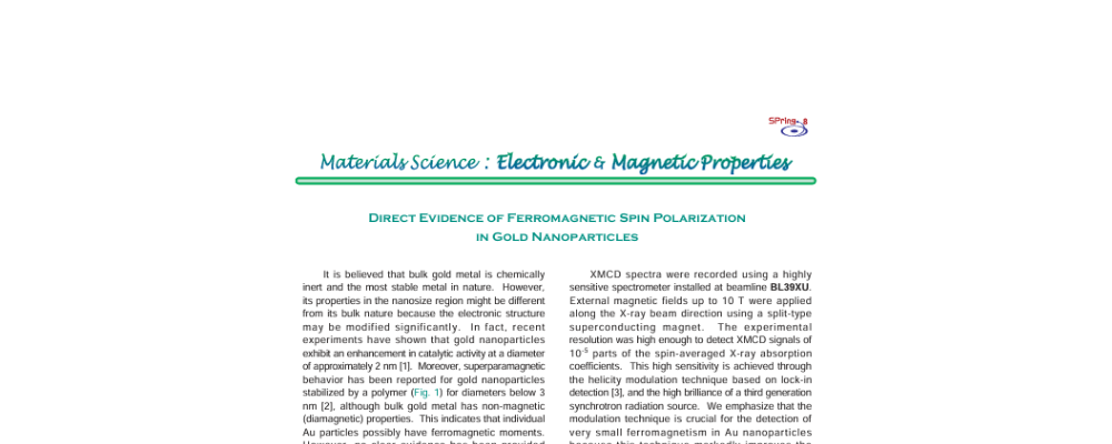 Direct Evidence of Ferromagnetic Spin Polarization in Gold Nanoparticles