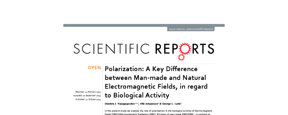 Polarization: A Key Differencebetween Man-made and NaturalElectromagnetic Fields, in regardto Biological Activity