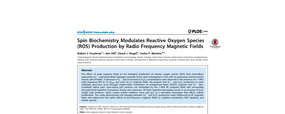 Spin Biochemistry Modulates Reactive Oxygen Species(ROS) Production by Radio Frequency Magnetic Fields